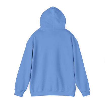 Ghost Shows & Comfy Clothes Hooded Sweatshirt