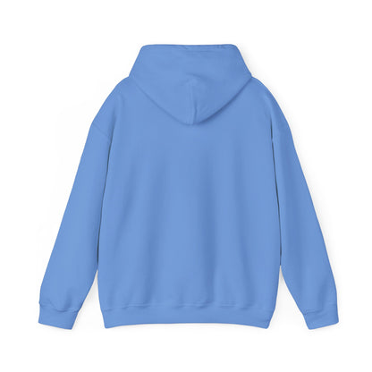 Ghost Shows & Comfy Clothes Hooded Sweatshirt